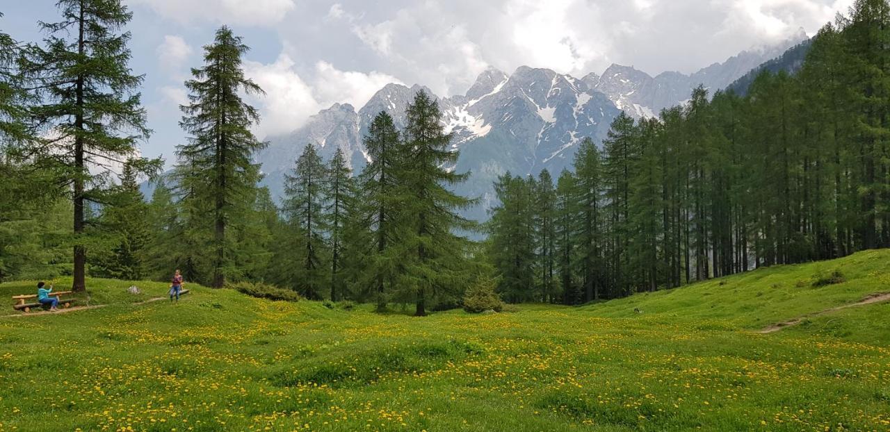 The Oldmillhouse Villa Mojstrana Exterior foto