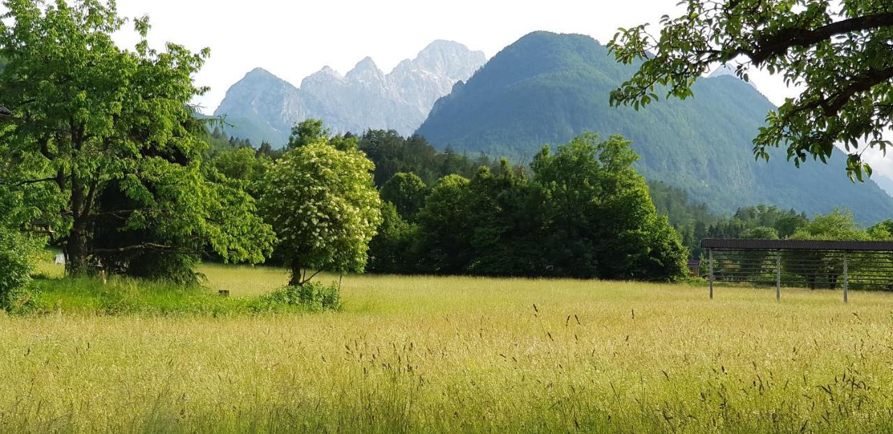 The Oldmillhouse Villa Mojstrana Exterior foto