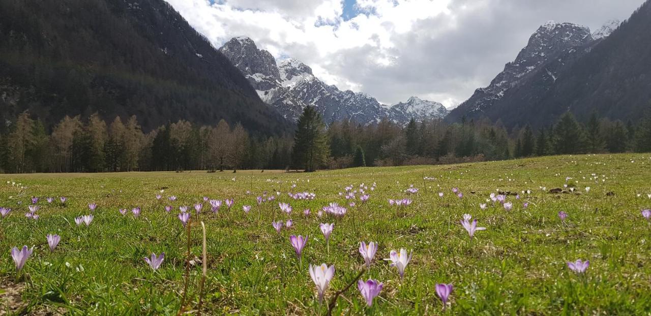 The Oldmillhouse Villa Mojstrana Exterior foto