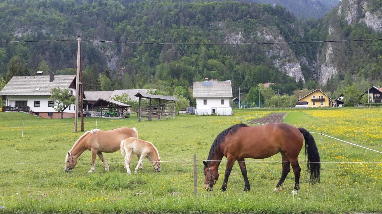 The Oldmillhouse Villa Mojstrana Exterior foto